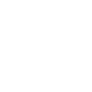 초점